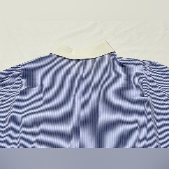 Silk Striped Shirt with Contrasted Collar and Cuffs - Picture 8 of 12